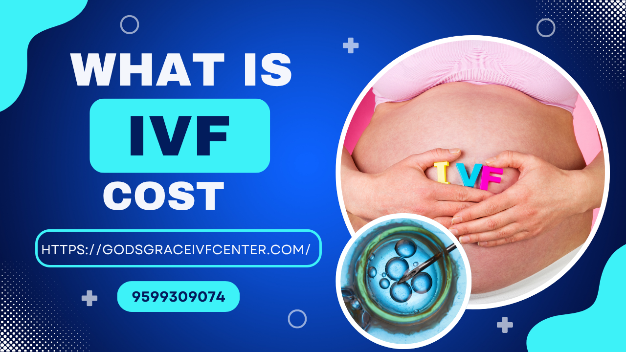 What Is IVF Cost