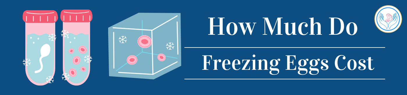 Freezing Eggs Cost in India