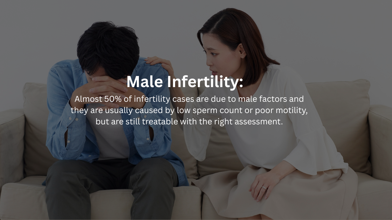 Best ivf center hauz khas